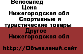 Велосипед Stels 310 › Цена ­ 3 200 - Нижегородская обл. Спортивные и туристические товары » Другое   . Нижегородская обл.